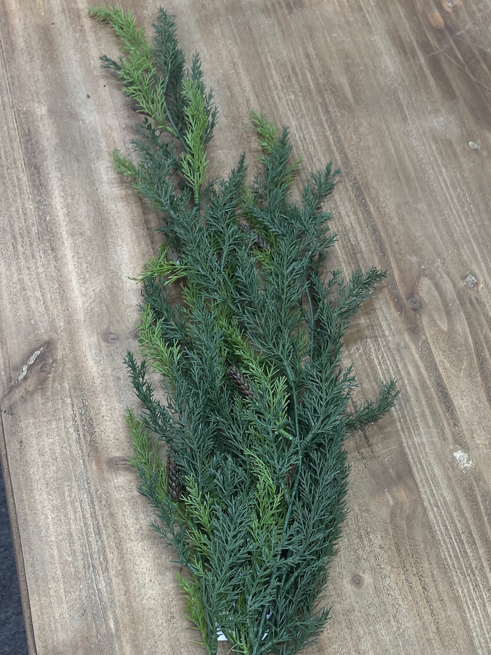 Prickly Pine Hanging Stem