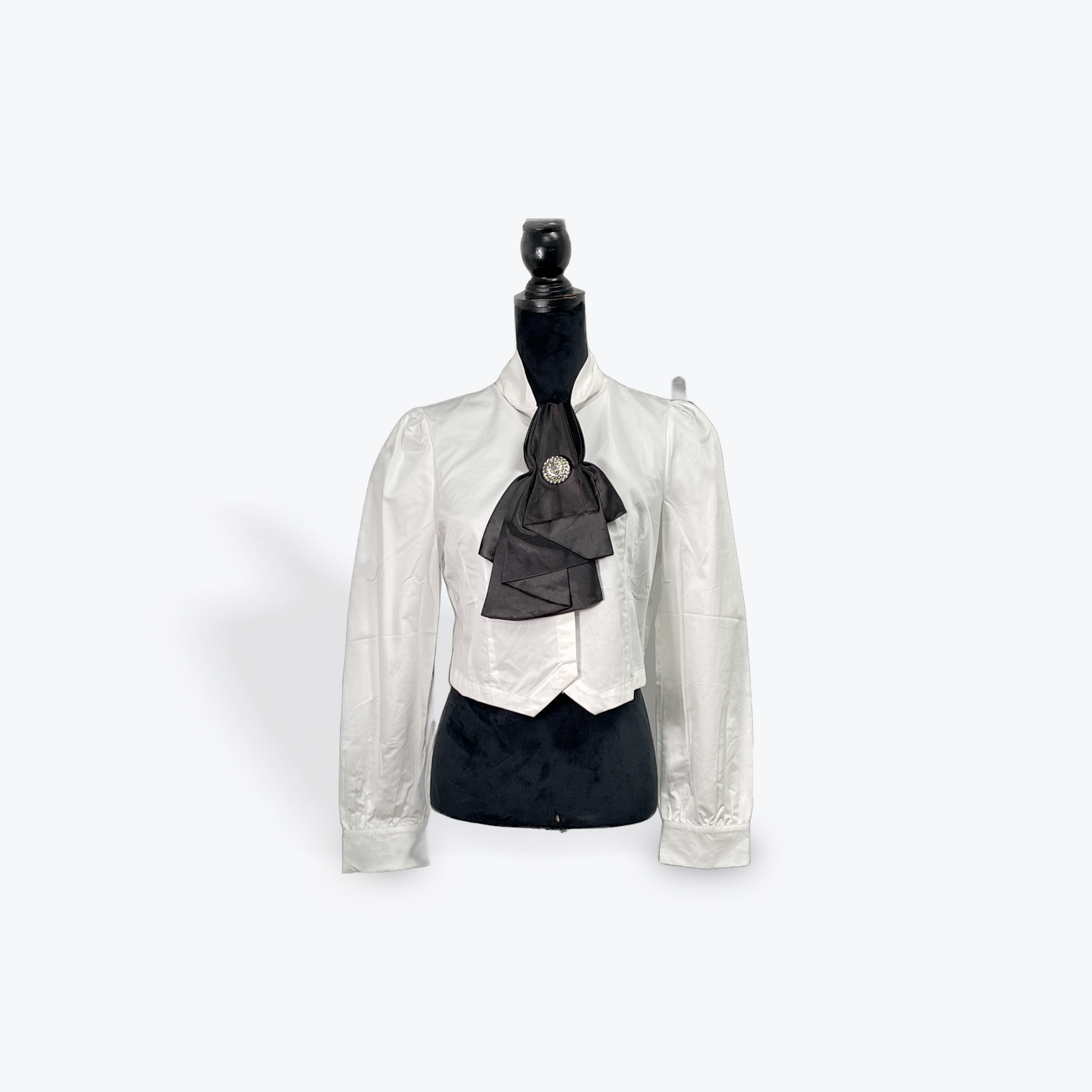 LONG SLEEVED CROPPED TOP WITH TIE: WHITE