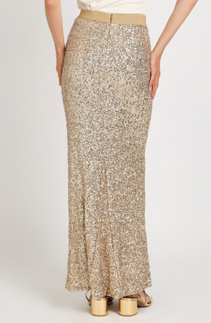 Sequined Mesh High Waisted Maxi Pencil Skirt