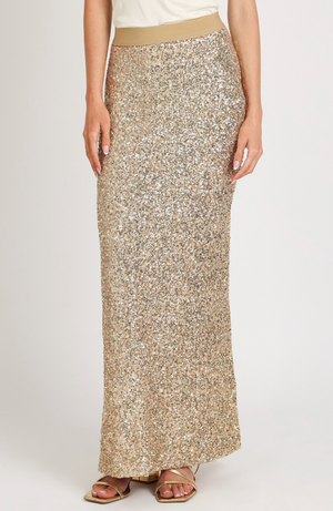 Sequined Mesh High Waisted Maxi Pencil Skirt