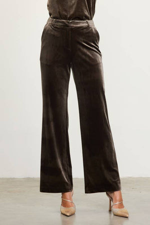 Velvet Straight Fit Pants